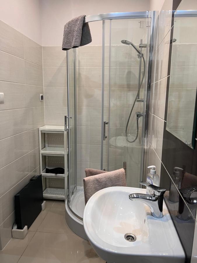 Look Of Dreams - Apartament Milowice Sosnowiec Kültér fotó